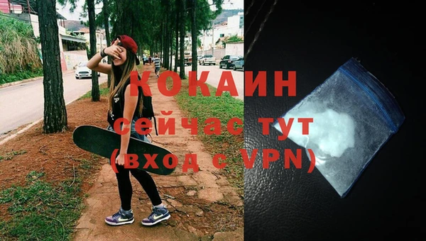 стаф Арсеньев