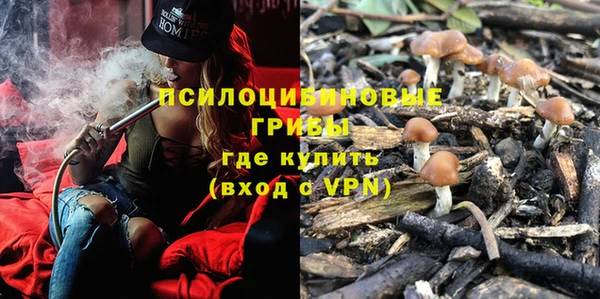 СК Аркадак
