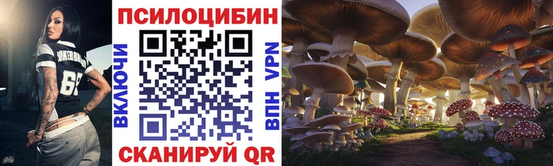 магазин продажи   Горно-Алтайск  Галлюциногенные грибы мухоморы 